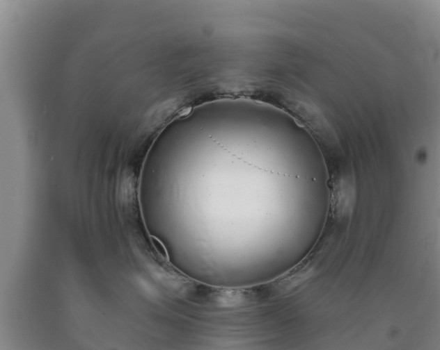 X0000090710623200707271132