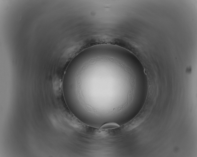 X0000090710624200707271132