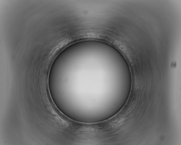 X0000090710625200707271132