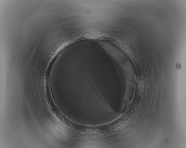 X0000090710626200707271132