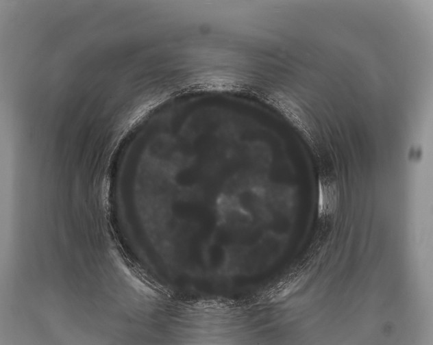 X0000090710627200707271132