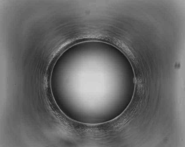 X0000090710628200707271132