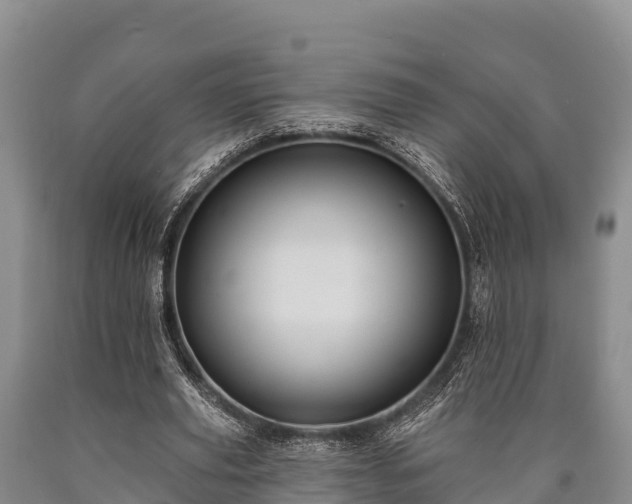 X0000090710629200707271132