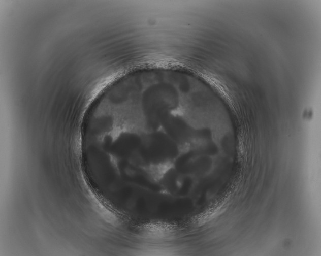 X0000090710630200707271132