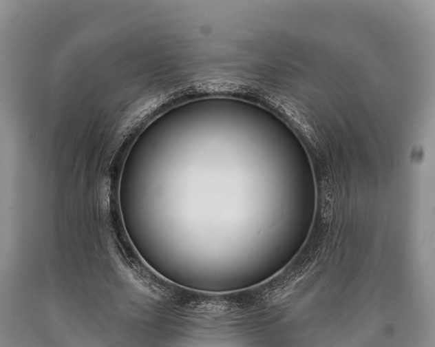 X0000090710631200707271132