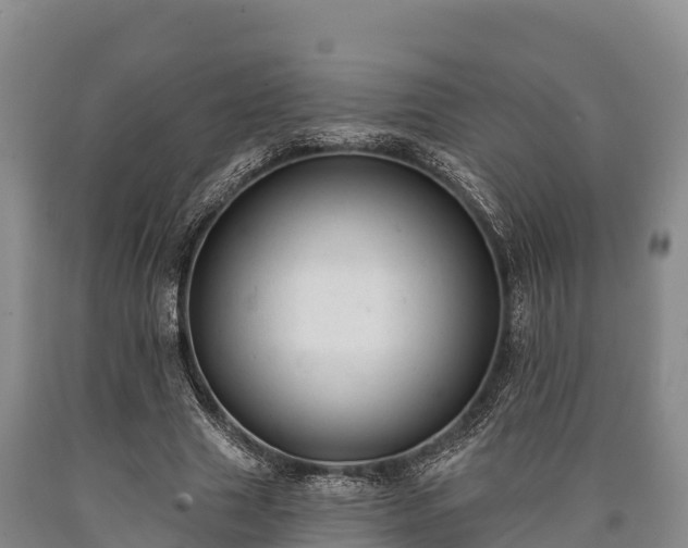 X0000090710633200707271132