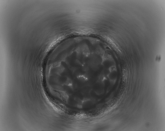 X0000090710634200707271132