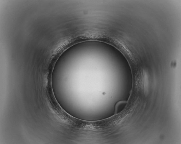 X0000090710635200707271132