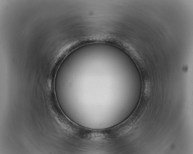 X0000090710636200707271132