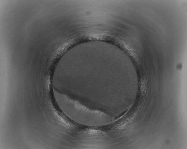 X0000090710637200707271132