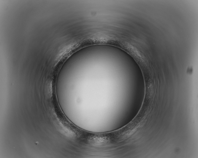 X0000090710638200707271132