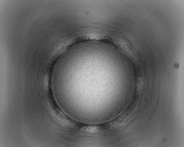 X0000090710639200707271132