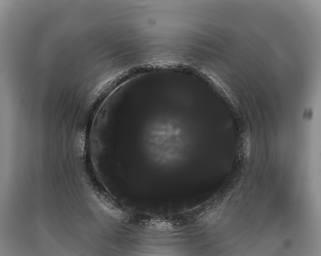 X0000090710640200707271132