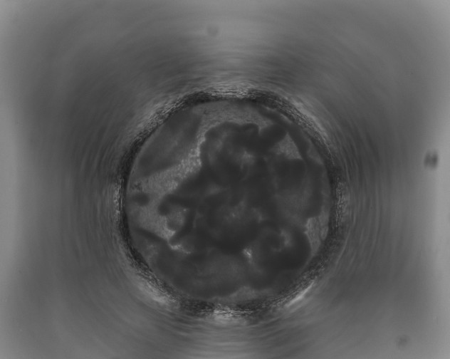 X0000090710641200707271132