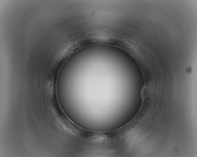 X0000090710642200707271132