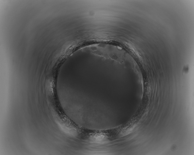 X0000090710643200707271132