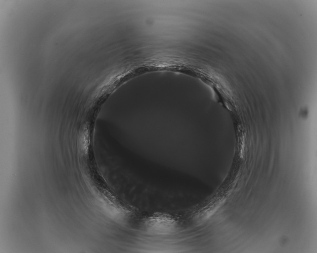 X0000090710644200707271132