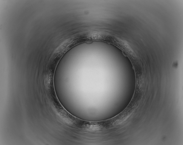 X0000090710645200707271132