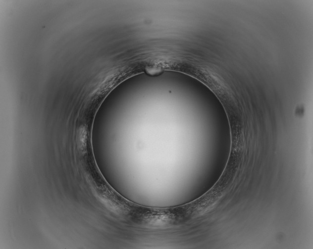 X0000090710646200707271132