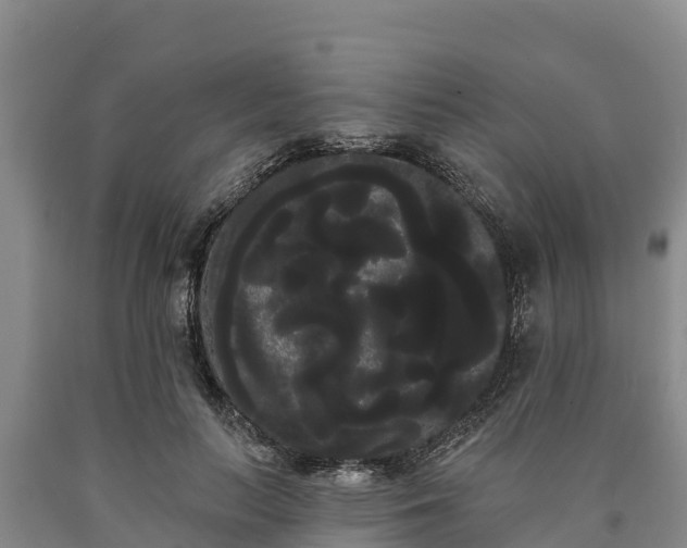 X0000090710647200707271132