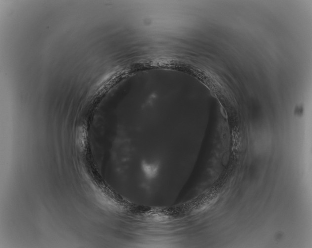 X0000090710648200707271132