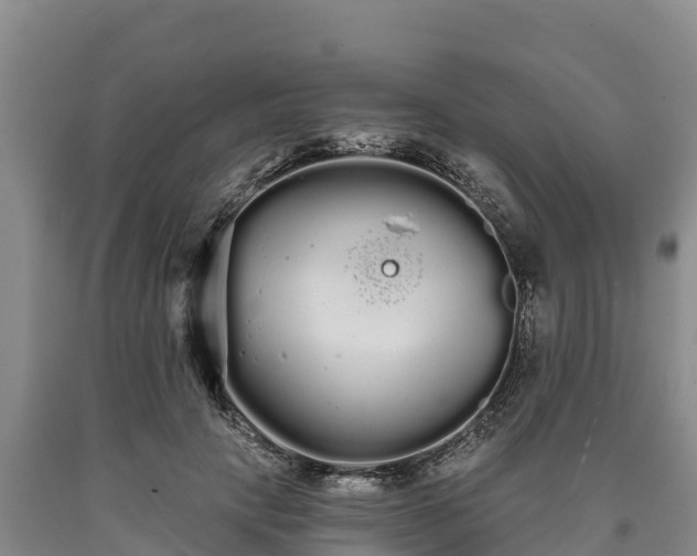 X0000090710649200707271132