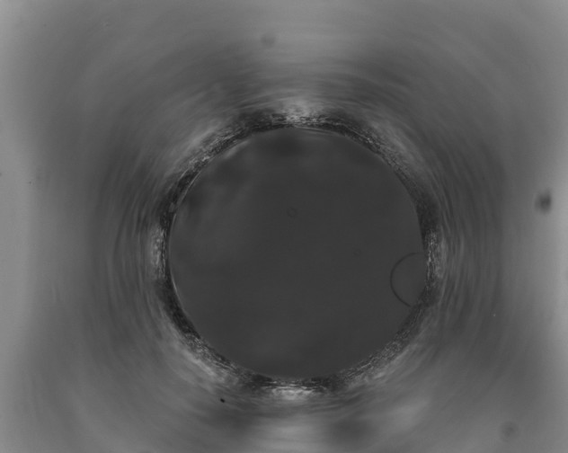 X0000090710650200707271132