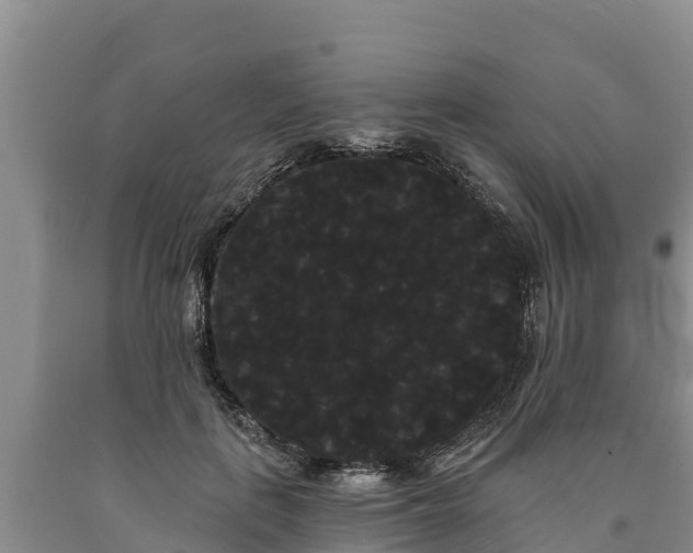 X0000090710651200707271132