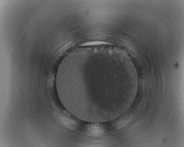 X0000090710652200707271132