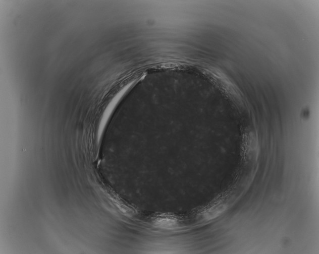 X0000090710653200707271132