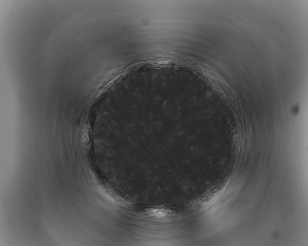 X0000090710654200707271132