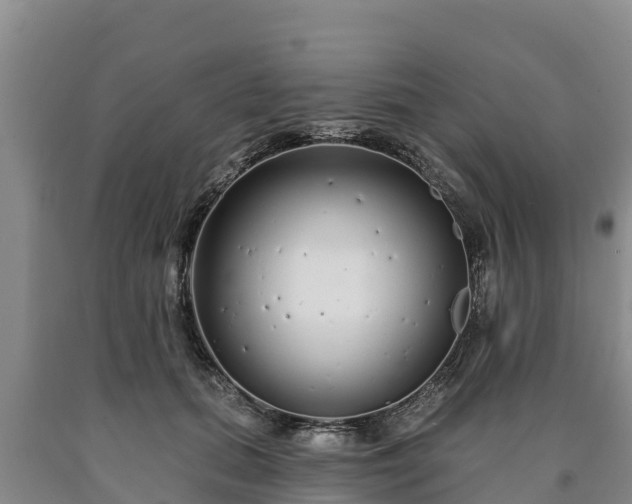 X0000090710655200707271132