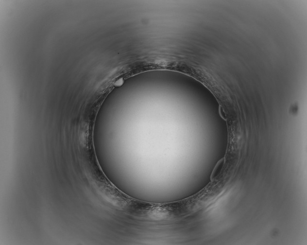 X0000090710656200707271132