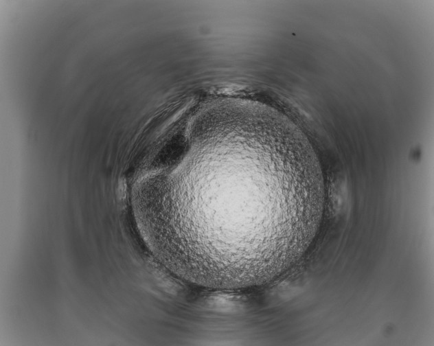 X0000090710657200707271132