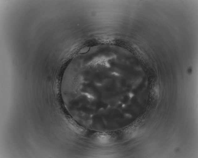 X0000090710658200707271132