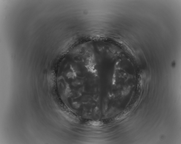 X0000090710659200707271132