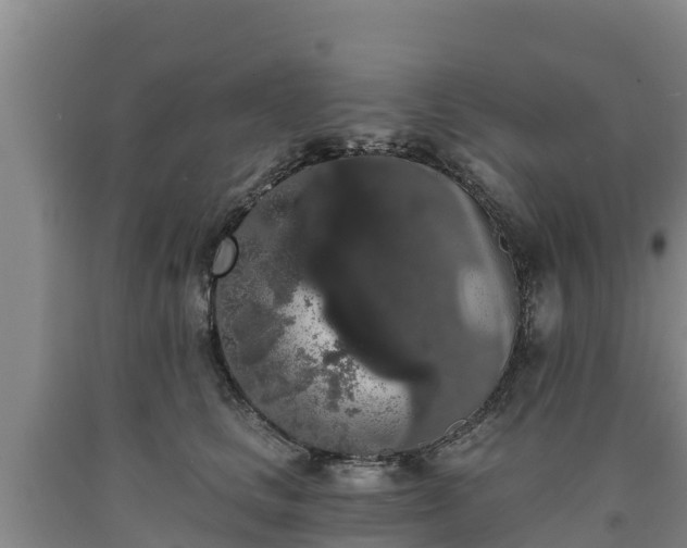 X0000090710661200707271132