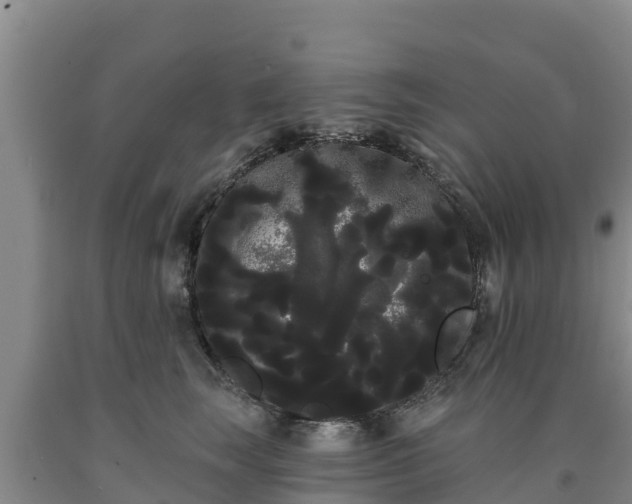 X0000090710663200707271132