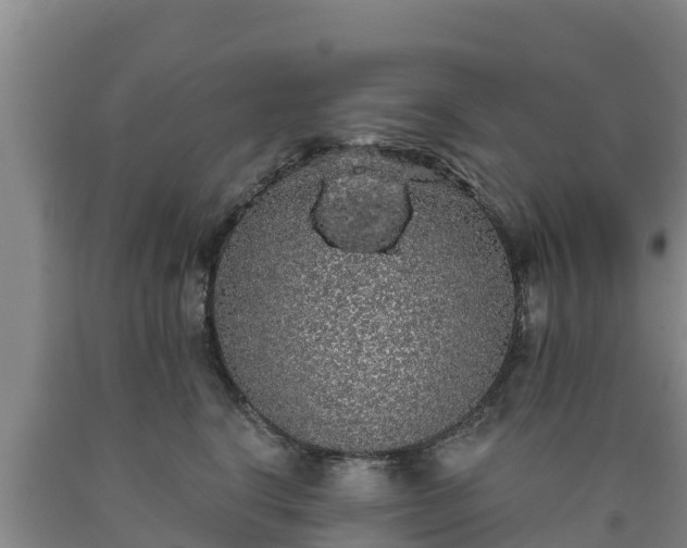 X0000090710664200707271132