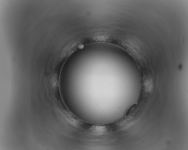 X0000090710665200707271132