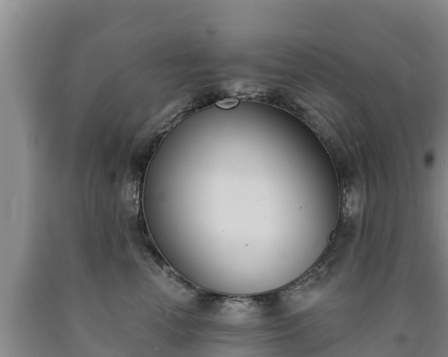 X0000090710666200707271132