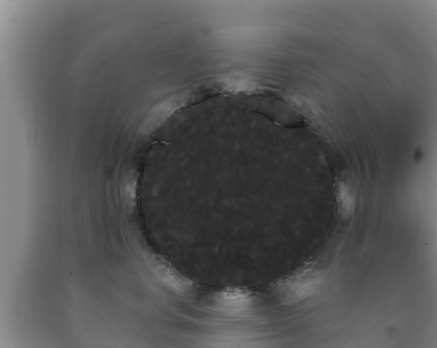 X0000090710668200707271132