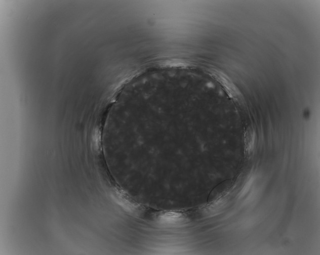 X0000090710669200707271132