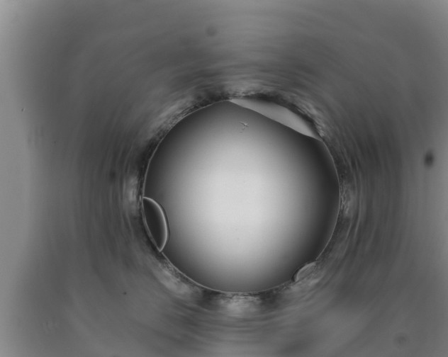 X0000090710670200707271132