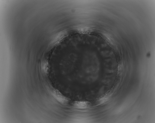 X0000090710671200707271132