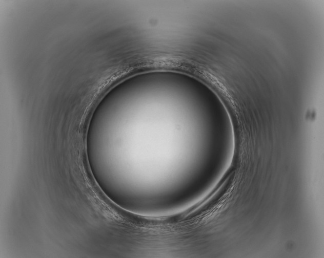 X0000090710673200707271132