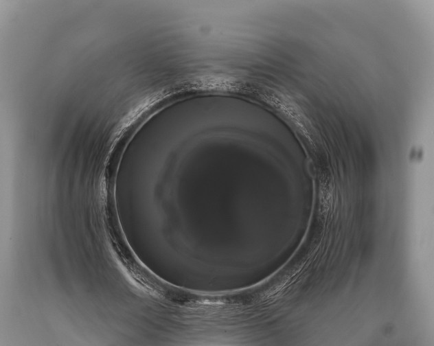 X0000090710674200707271132