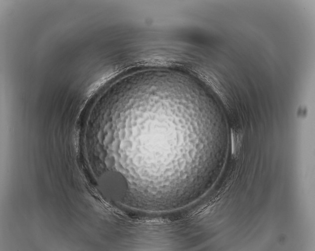 X0000090710675200707271132