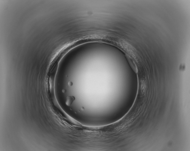 X0000090710676200707271132