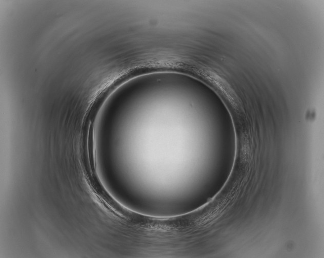 X0000090710677200707271132